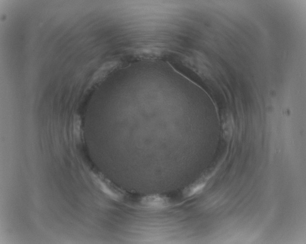 X0000073930231200609011842