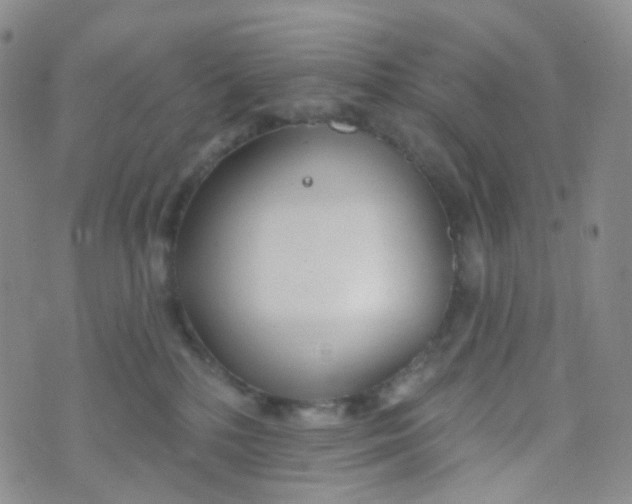 X0000073930232200609011842