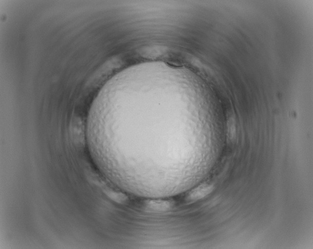 X0000073930234200609011842