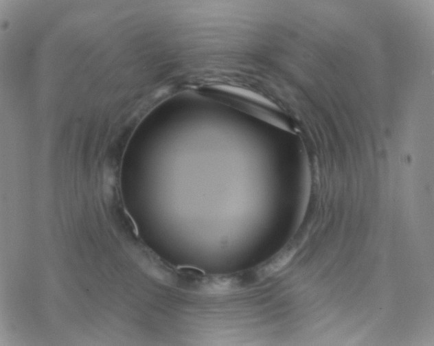 X0000073930235200609011842