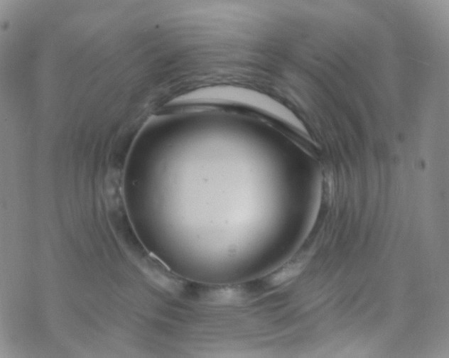 X0000073930237200609011842