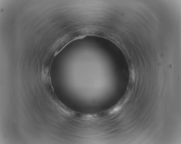 X0000073930239200609011842