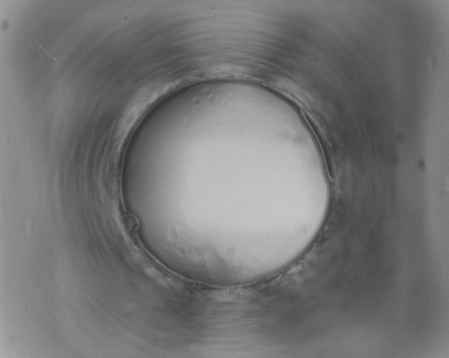 X0000073930241200609011841