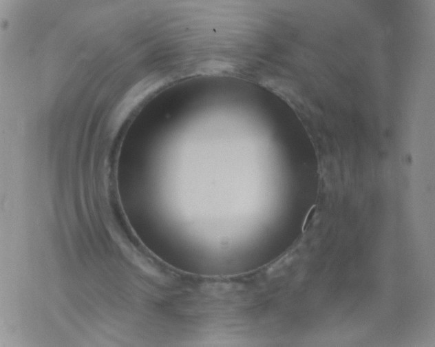 X0000073930242200609011841