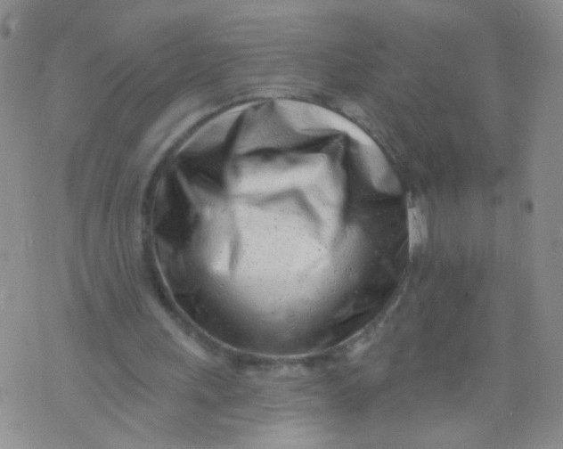 X0000073930243200609011841