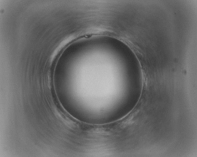 X0000073930244200609011841