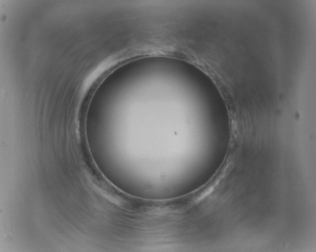 X0000073930246200609011841