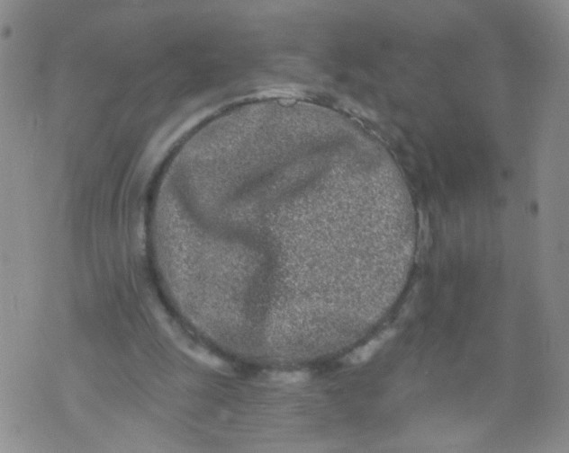 X0000073930247200609011841