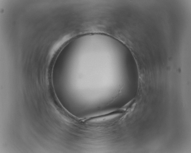 X0000073930248200609011841