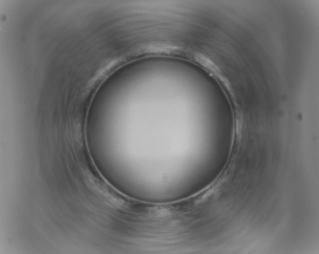 X0000073930249200609011841