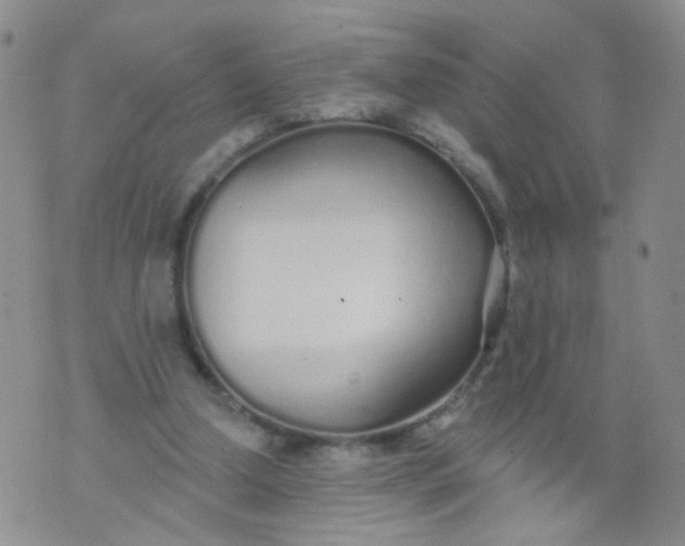 X0000073930250200609011841