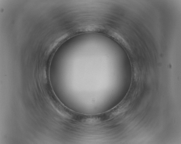 X0000073930251200609011841