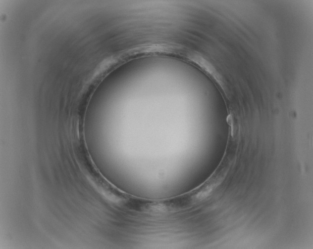 X0000073930253200609011841