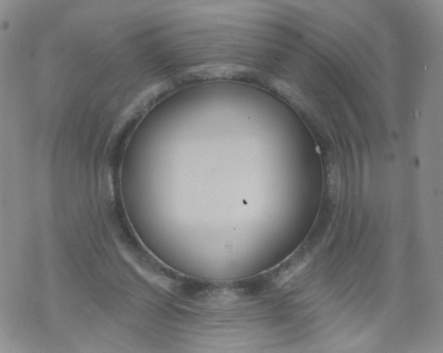 X0000073930254200609011841