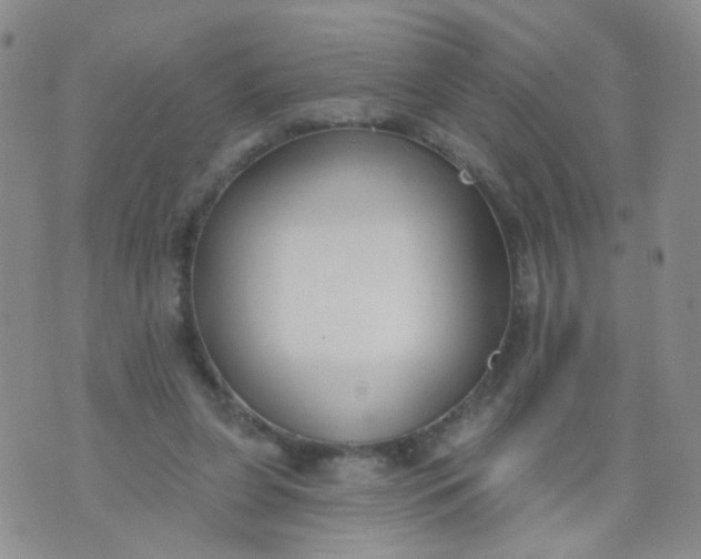 X0000073930255200609011841