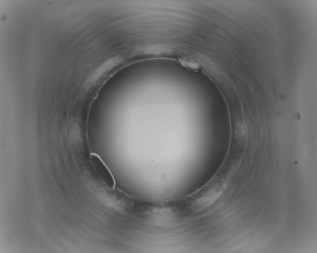 X0000073930256200609011842