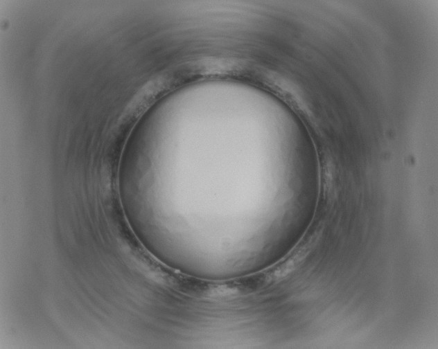 X0000073930257200609011842