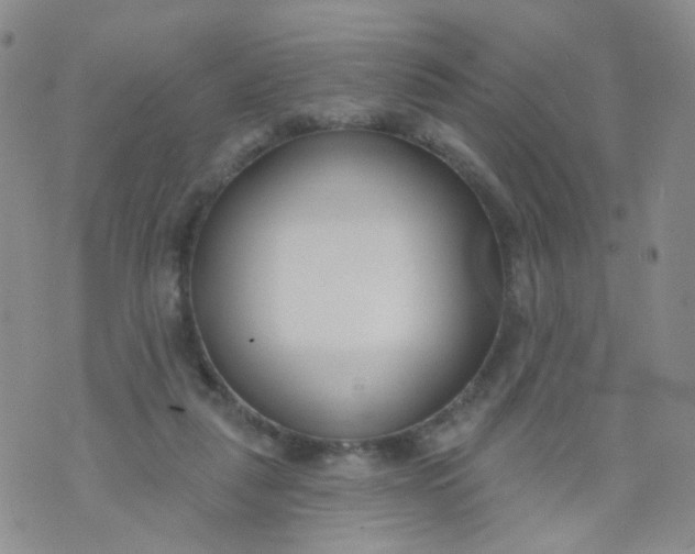 X0000073930259200609011842