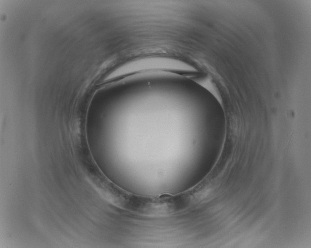 X0000073930260200609011842