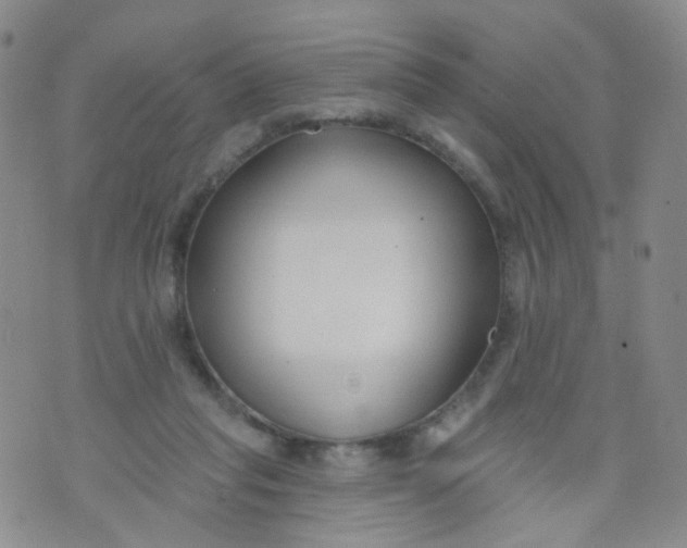 X0000073930261200609011842