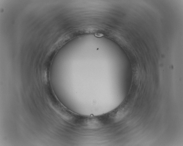 X0000073930262200609011842