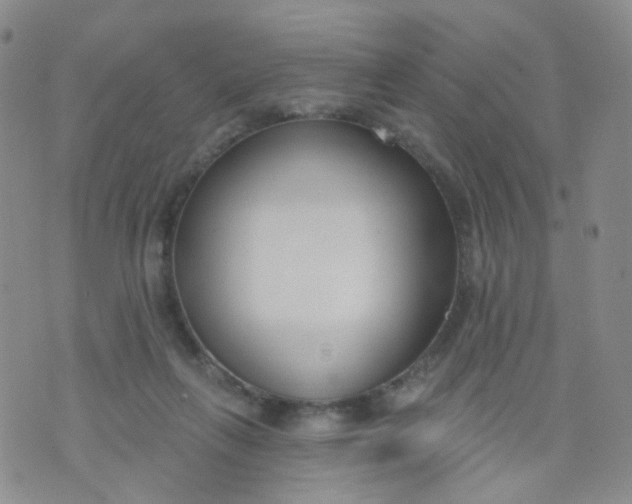 X0000073930263200609011842