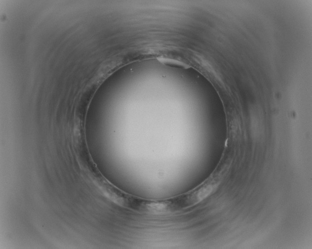 X0000073930265200609011842