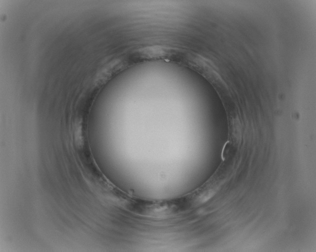 X0000073930267200609011842