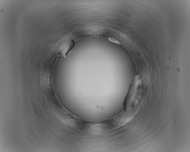 X0000073930268200609011842