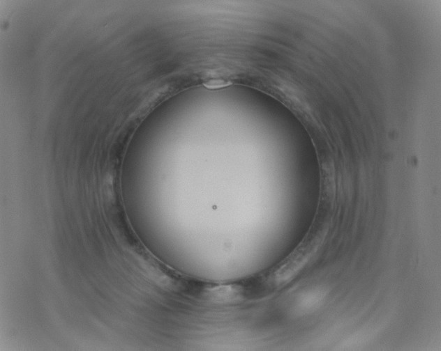 X0000073930269200609011842