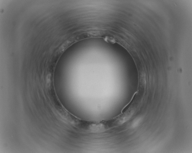 X0000073930271200609011842