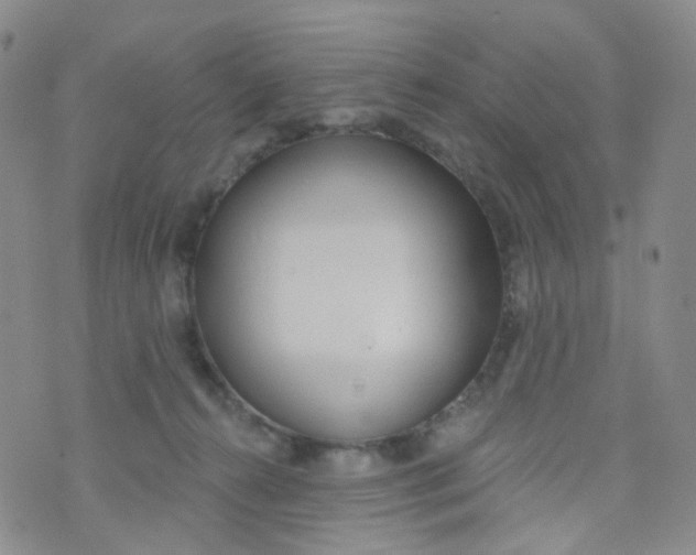 X0000073930272200609011842