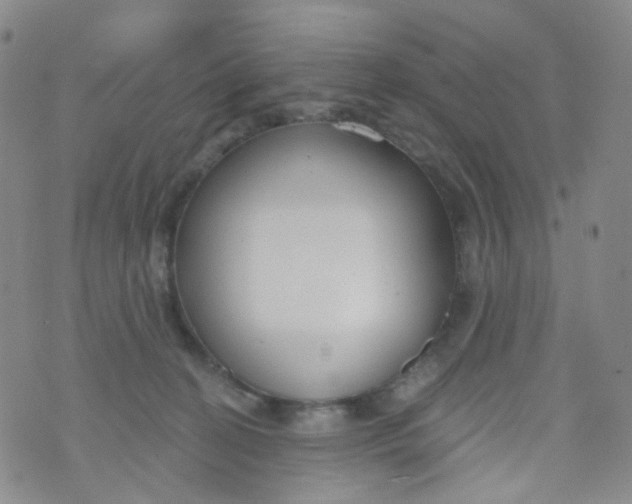 X0000073930274200609011842