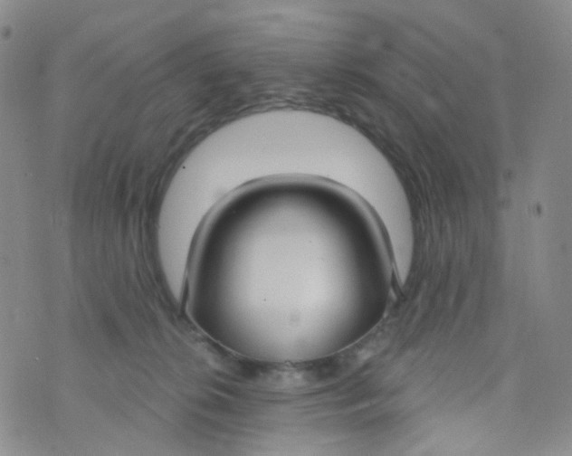 X0000073930276200609011842