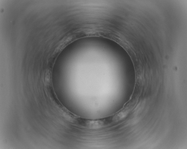 X0000073930277200609011842