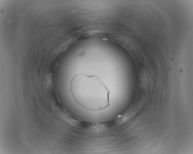 X0000073930278200609011842