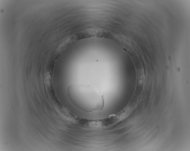 X0000073930279200609011842