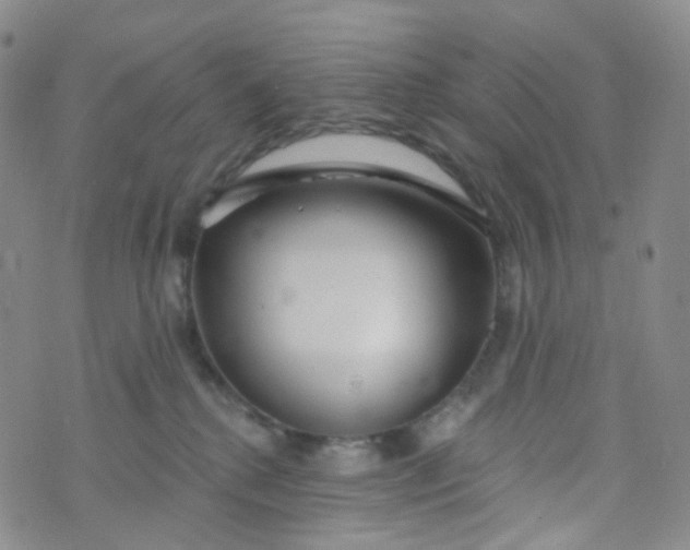 X0000073930280200609011842