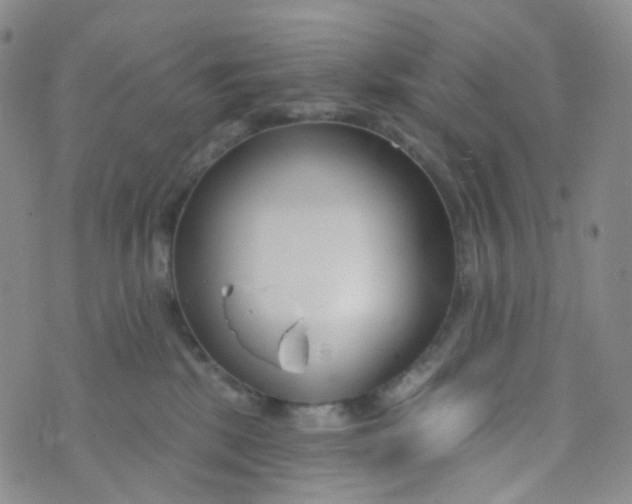 X0000073930281200609011842