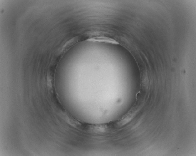 X0000073930282200609011842