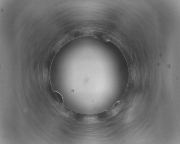 X0000073930283200609011842