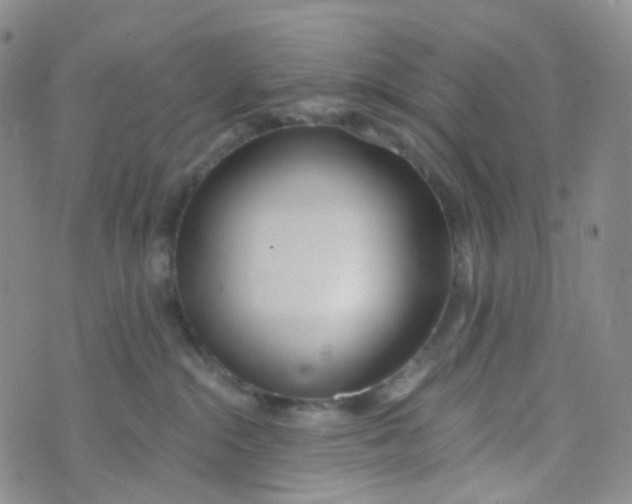 X0000073930284200609011842