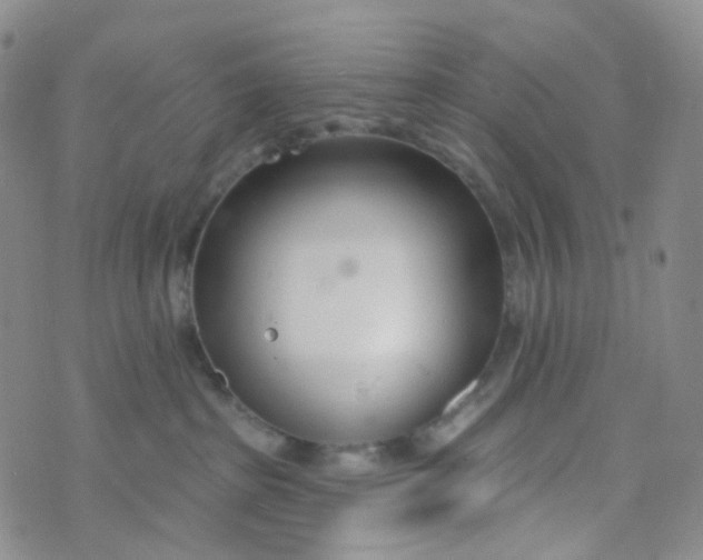 X0000073930285200609011842