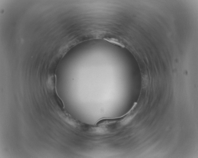 X0000073930286200609011842