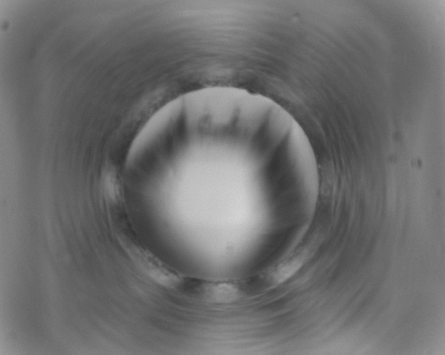 X0000073930287200609011842