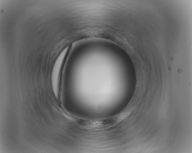 X0000073930288200609011842