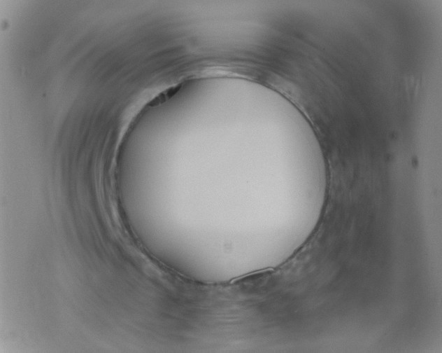 X0000073930289200609011841