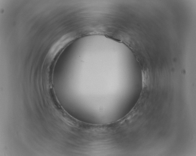 X0000073930291200609011841