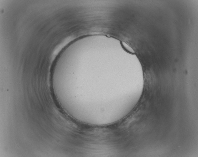 X0000073930292200609011841