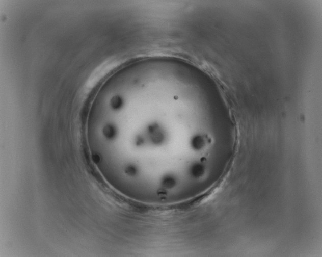 X0000073930295200609011841